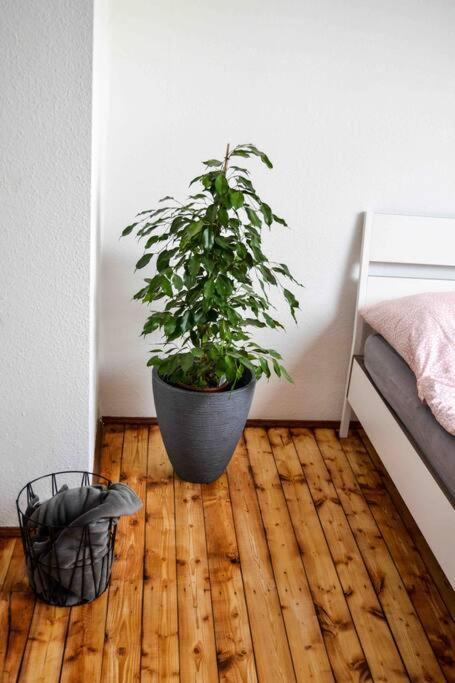 Schoene Dachgeschosswohnung Nahe Koeln Экстерьер фото