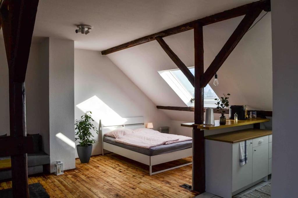 Schoene Dachgeschosswohnung Nahe Koeln Экстерьер фото